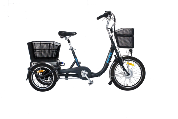 ewing-1-1536x1024 (1)